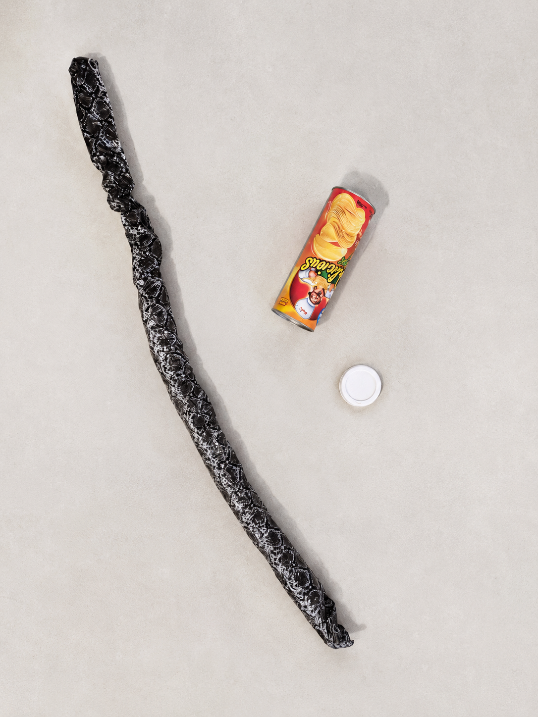 Snake in a Can Prank Toy